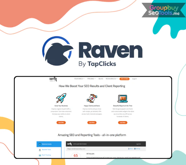 Raven Tools