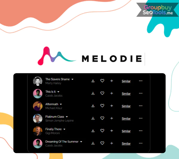 Melodie Music Single Plan LTD
