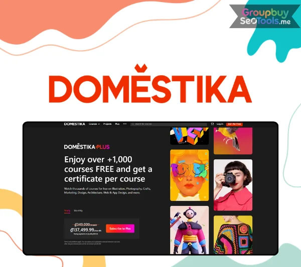 Domestika
